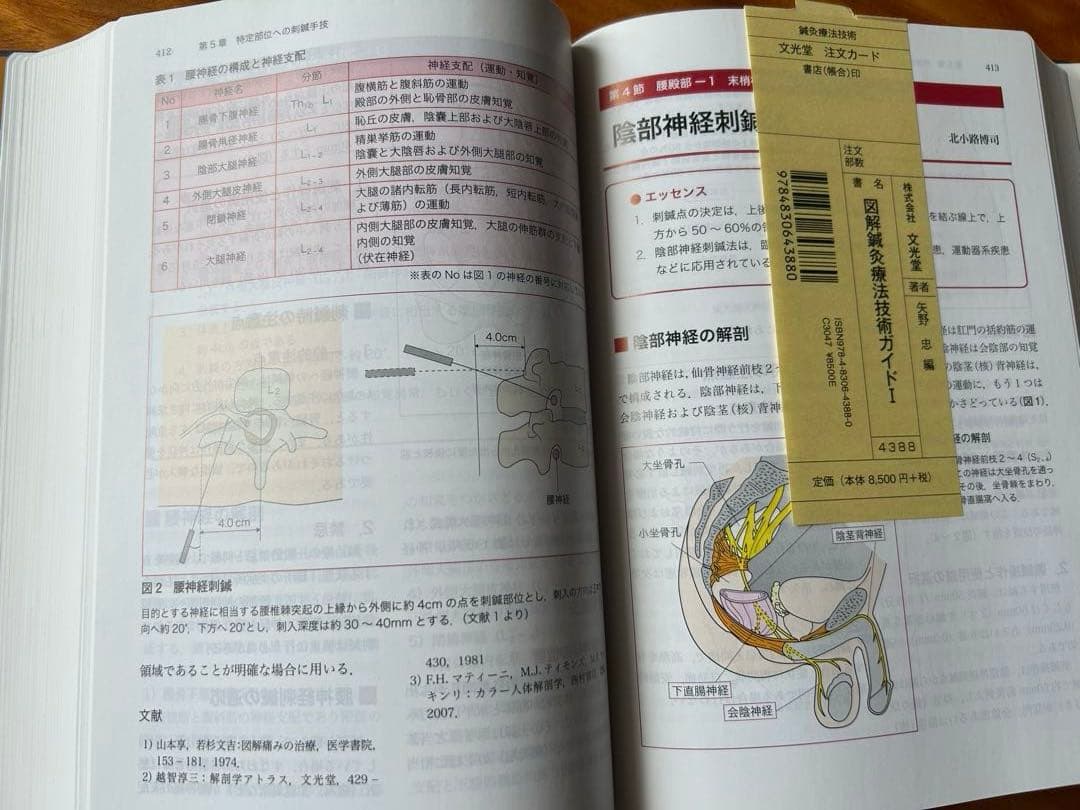 図解鍼灸療法技術ガイド 鍼灸臨床の場で必ず役立つ実践のすべて Ⅰ