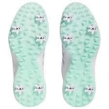 25.5cm アディダス ゴルフ W EQT ボア 24 IF3050