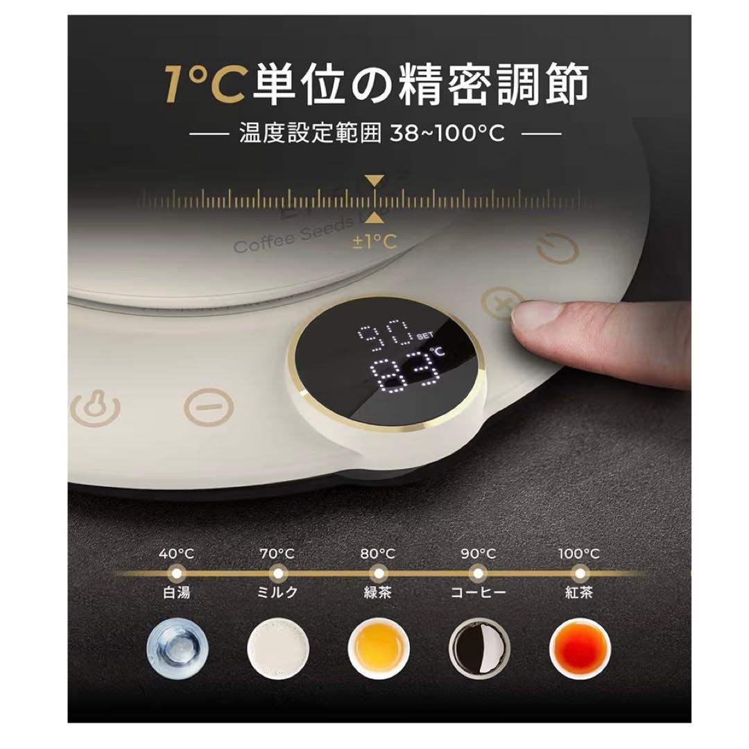 エペイオス(Epeios) 電気ケトル コーヒー 1°C単位の精密調節