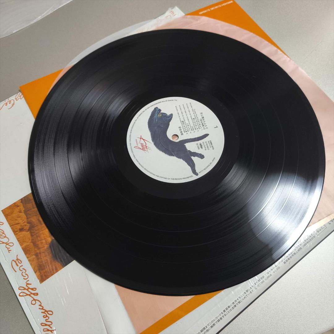 美盤 美品 LP 安全地帯 VI 月に濡れたふたり 玉置浩二 LP レコード