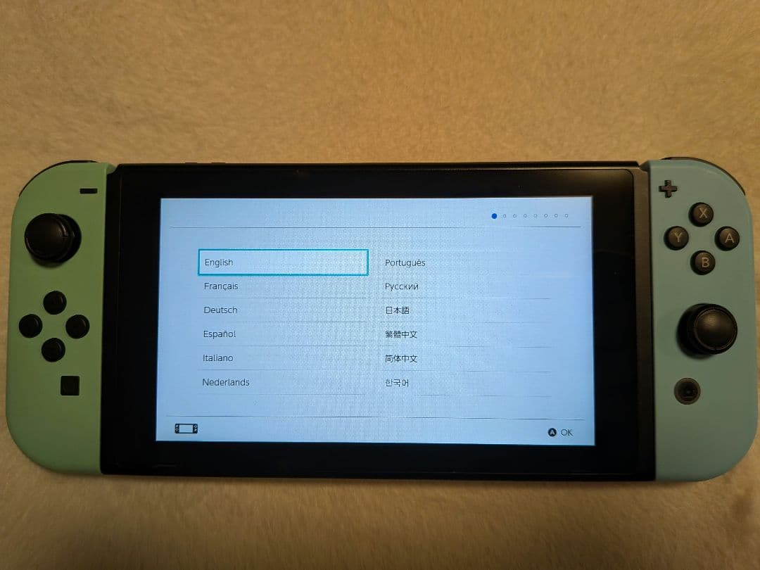 Nintendo Switch あつまれどうぶつの森セット （付属品完備）