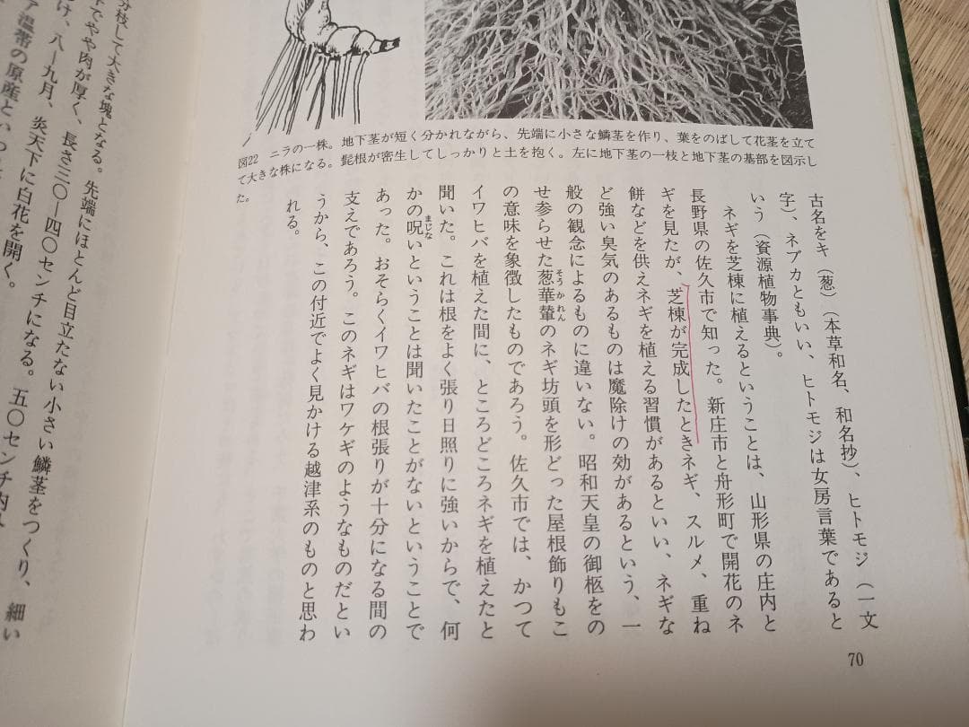 芝棟 屋根の花園を訪ねて