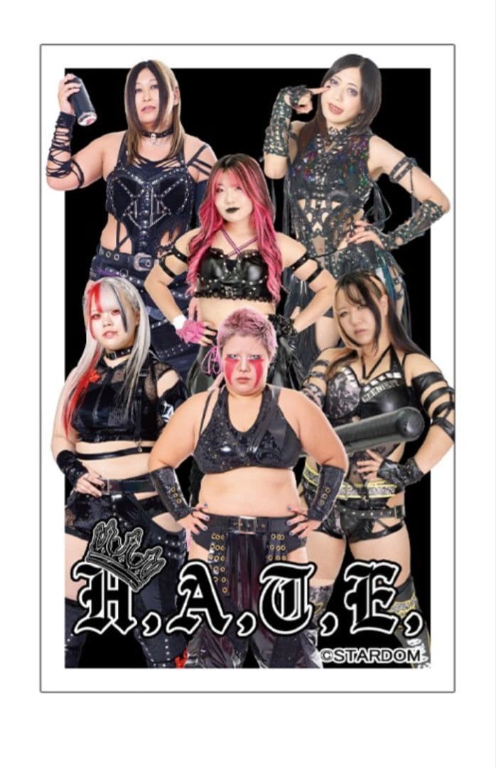 スターダム　上谷沙弥　HATE　ジップパーカー　３Ｌ　STARDOM