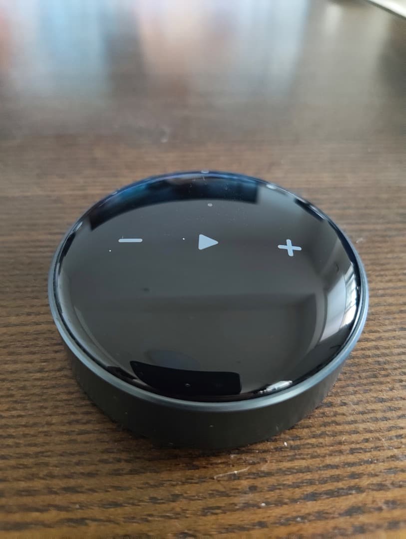 Meomeo様用（他の方のご購入はお控えください）WiiM mini