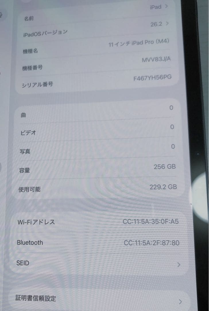 iPad Pro 11インチ M4スペースグレー 本体