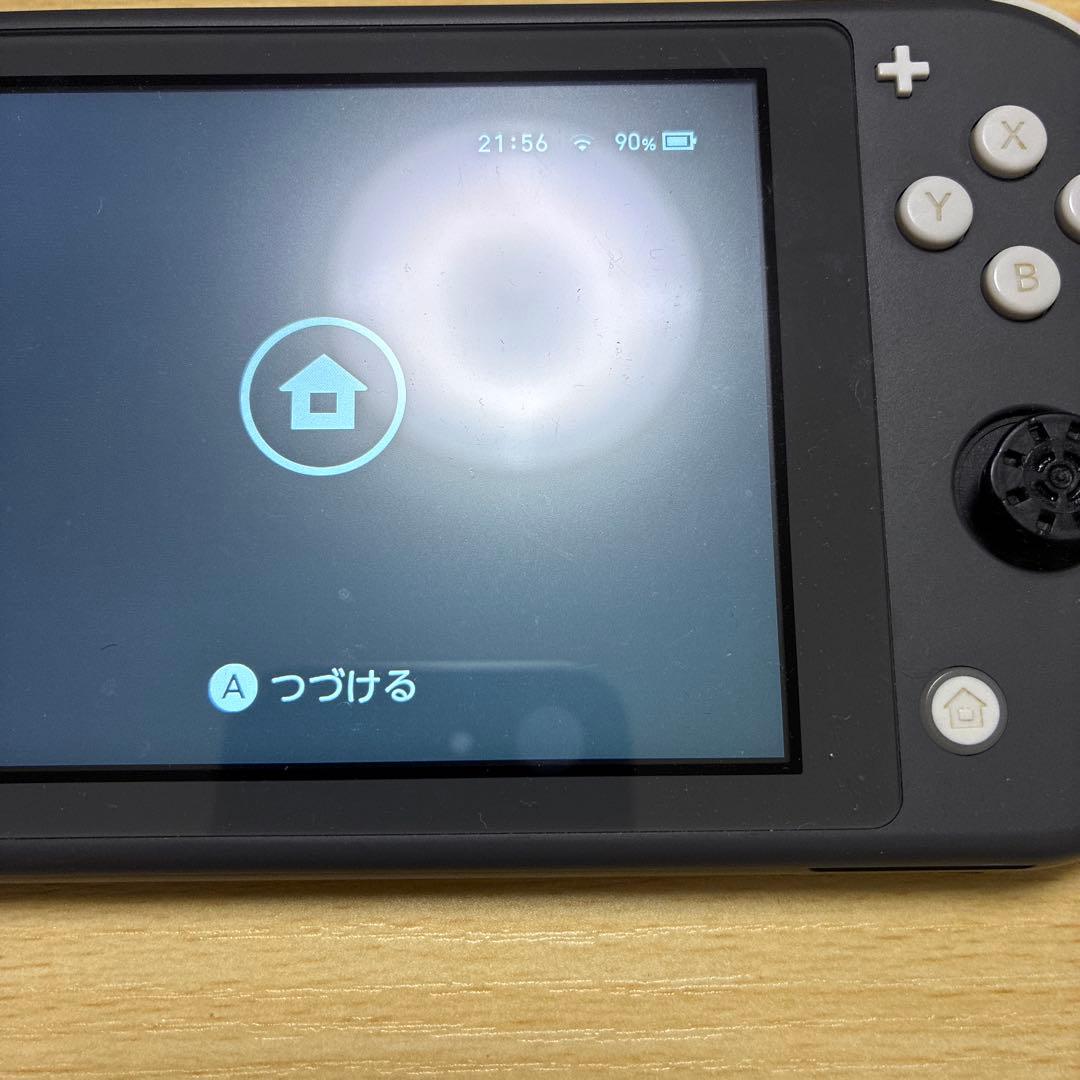 Nintendo Switch Lite グレー　ジャンク