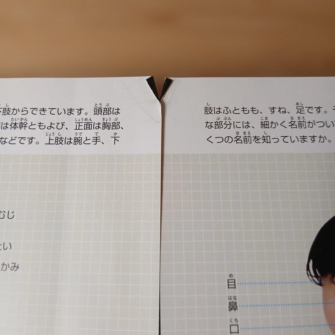 小学館の図鑑NEO プレNEO　学研の図鑑　12冊セット