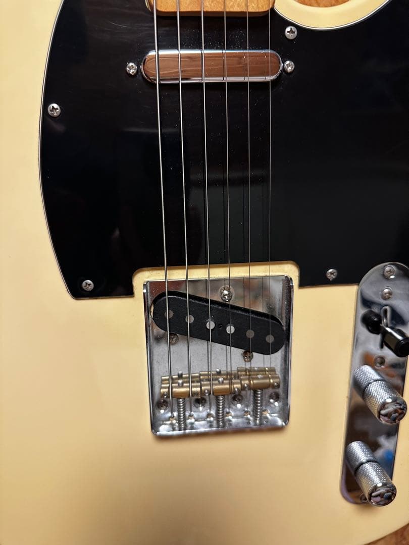 ギター Bacchus BTE350M mod
