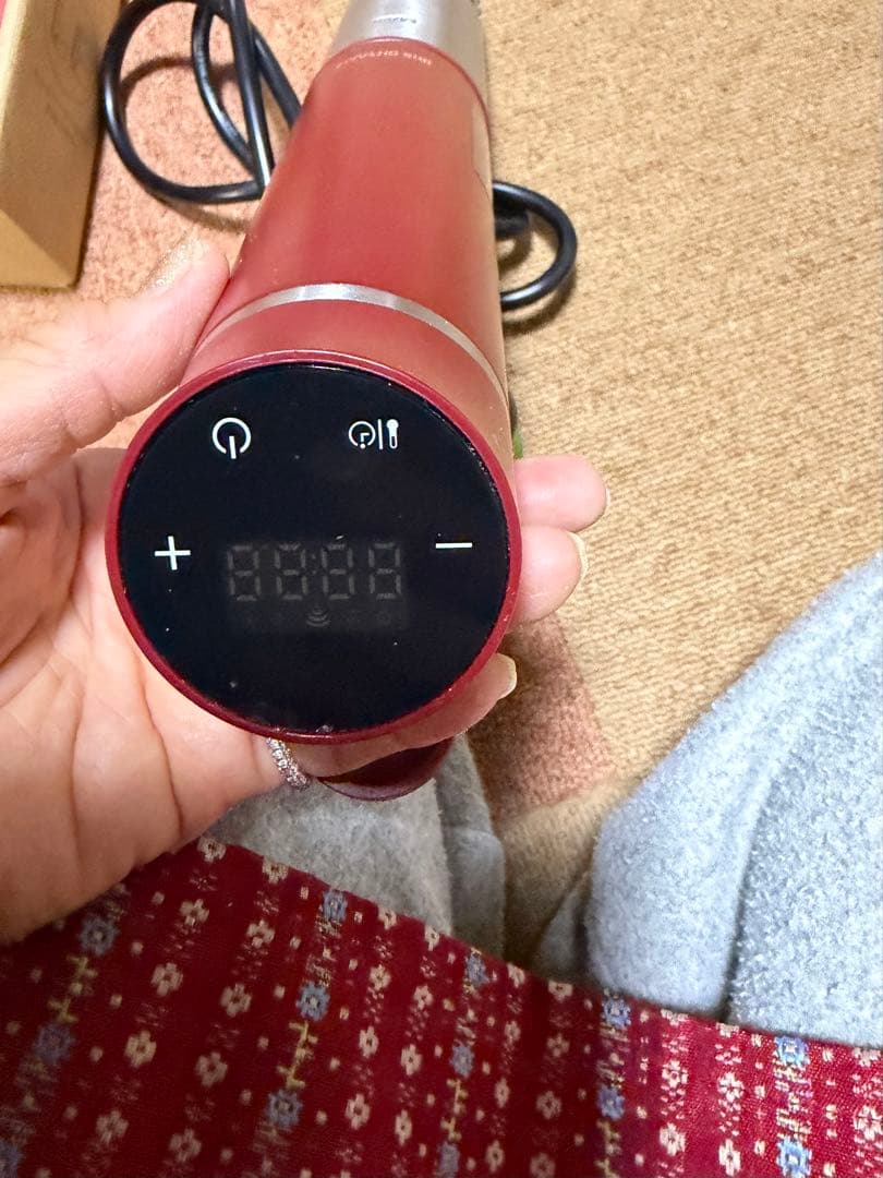 アイリスオーヤマ 低温調理器 LTC-02