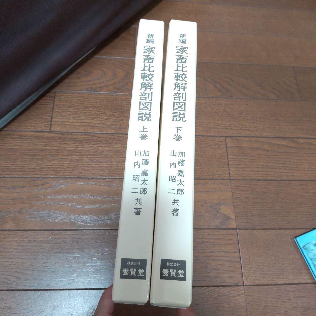 新編家畜比較解剖図説 上下巻