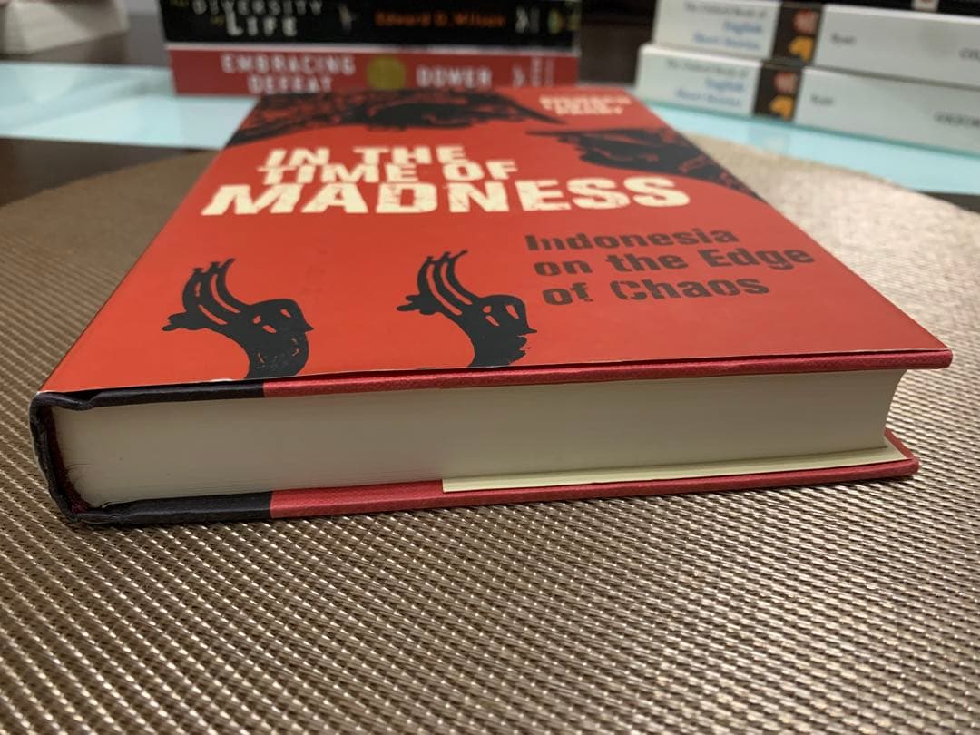 洋書 IN THE TIME OF MADNESS