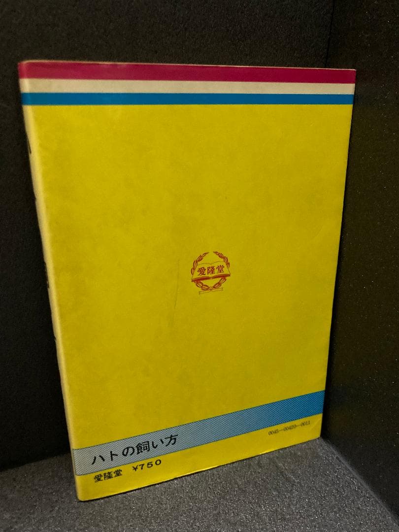 ハトの飼い方