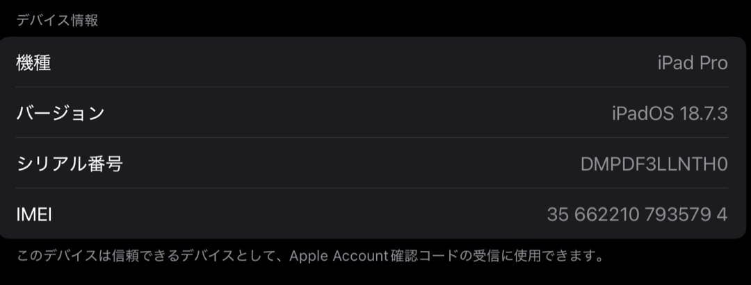 iPad Pro 11インチ256GB セルラーモデル　スペースグレイ 箱付き