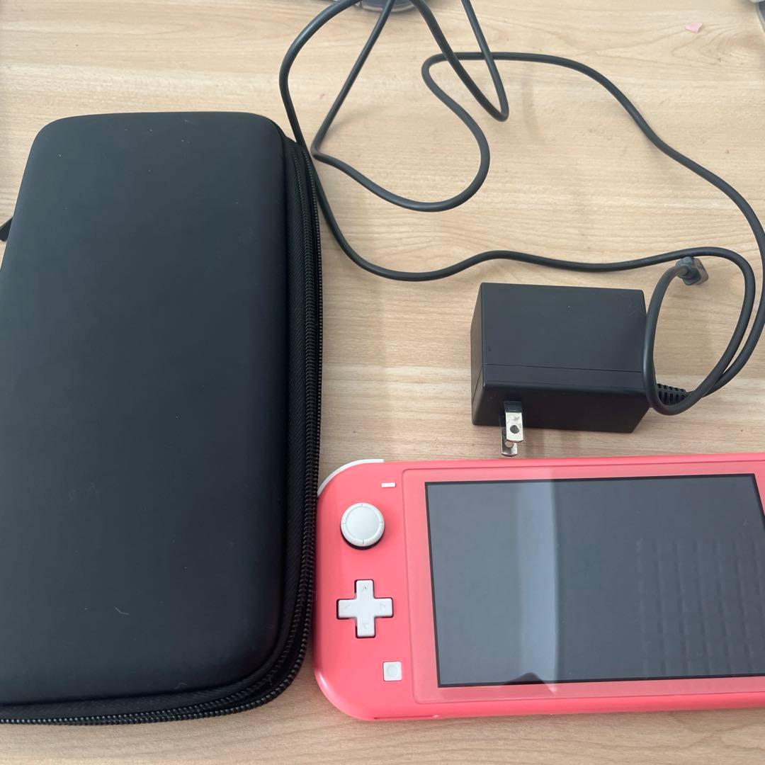 Switchlight 本体 充電器あり SDカード付き
