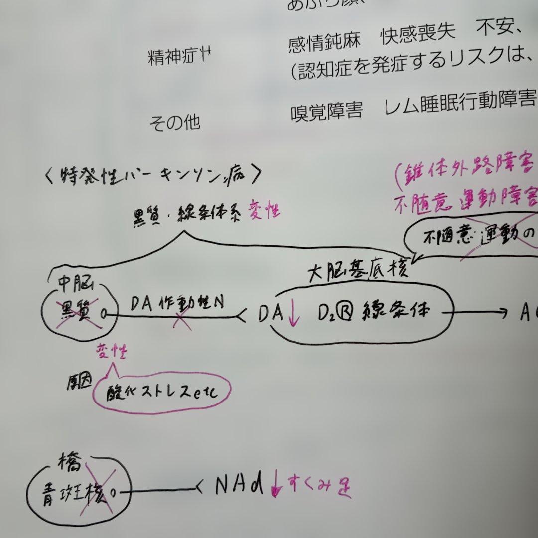 薬剤師国家試験対策参考書〈青本〉〈青門〉6年制国試対応版（①～⑨）第111回対策