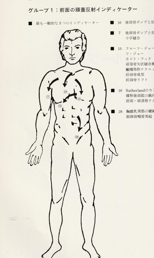 SOT　頭蓋骨治療　クラニアル・スタディガイド 　Dr.DeJarnette