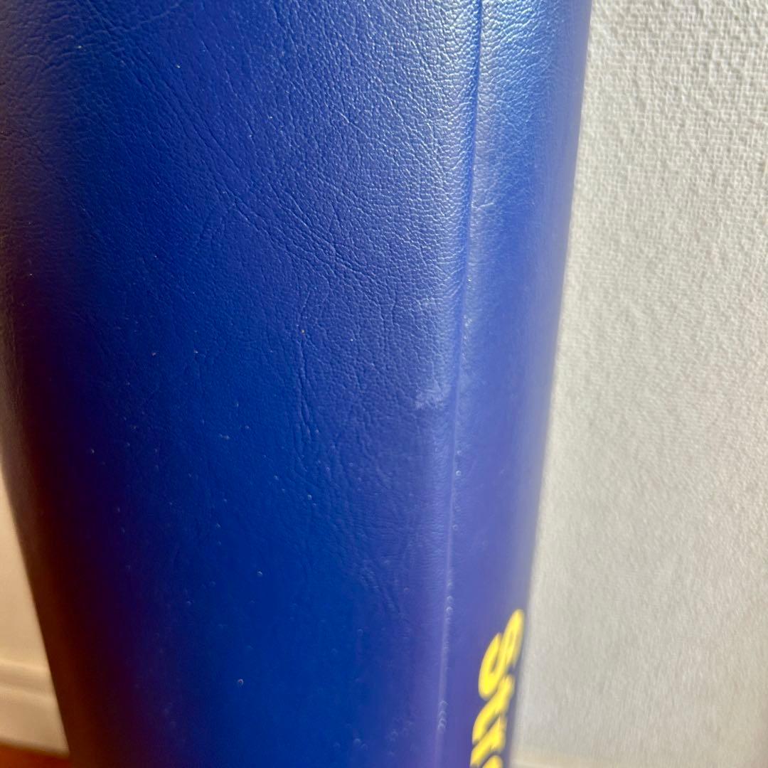【美品】 LPN ストレッチポールEX ネイビー 正規品 StretchPole