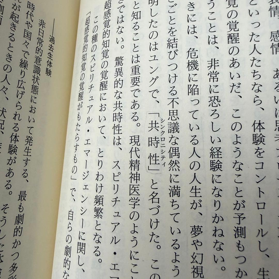 【稀少絶版本】入手困難品⭐︎ スピリチュアル・エマージェンシー 初版本 カバー無し