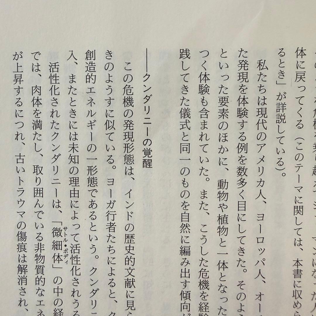 【稀少絶版本】入手困難品⭐︎ スピリチュアル・エマージェンシー 初版本 カバー無し