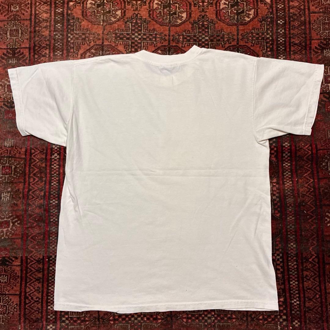 Disney ANIMAL KINGDOM アニマルキングダム Tシャツ L相当