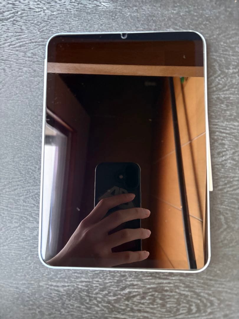 ipad mini A17pro 128GB スターライト 本体 pitaka