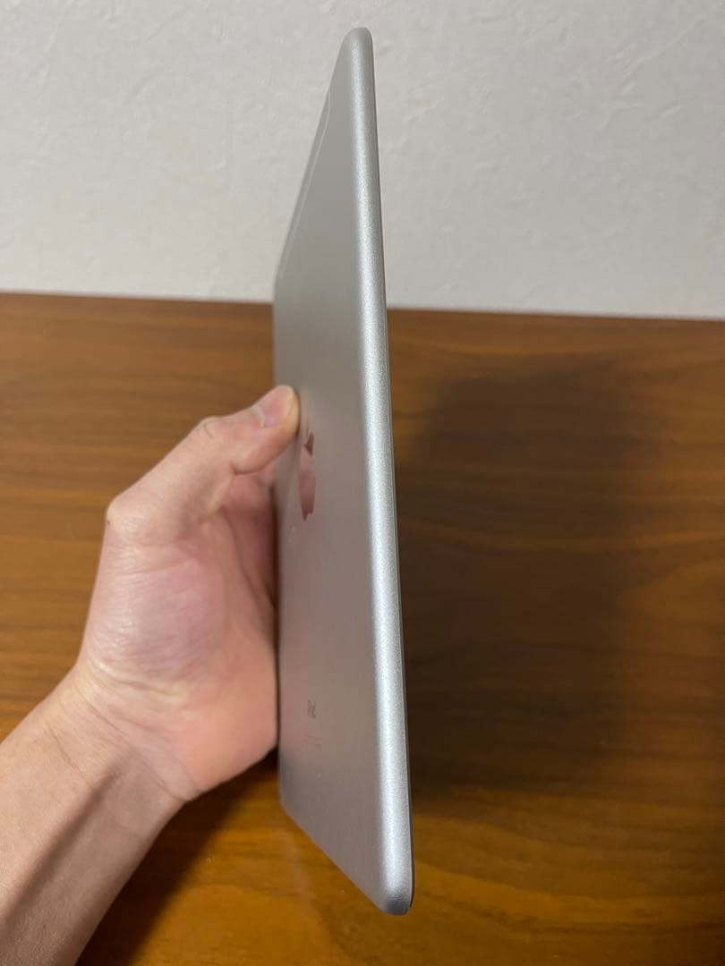 Ipad mini5 256gb SIMフリー