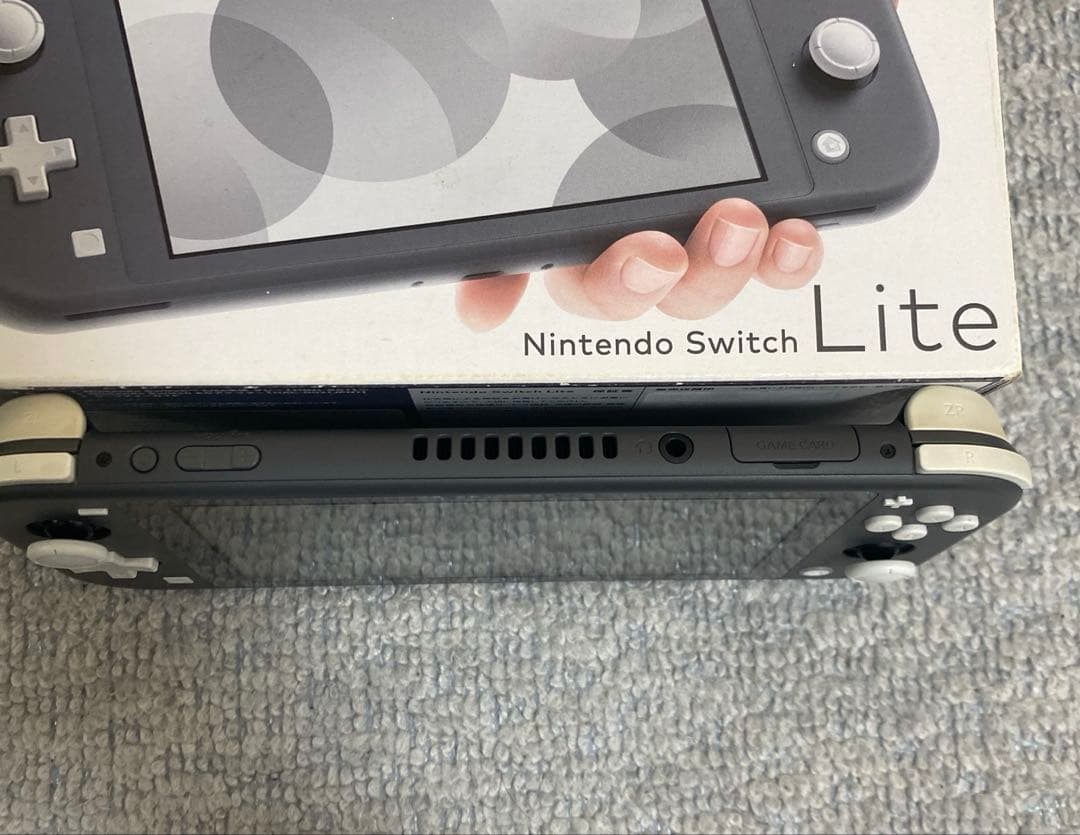 Nintendo Switch Lite 本体　ケース充電器付き