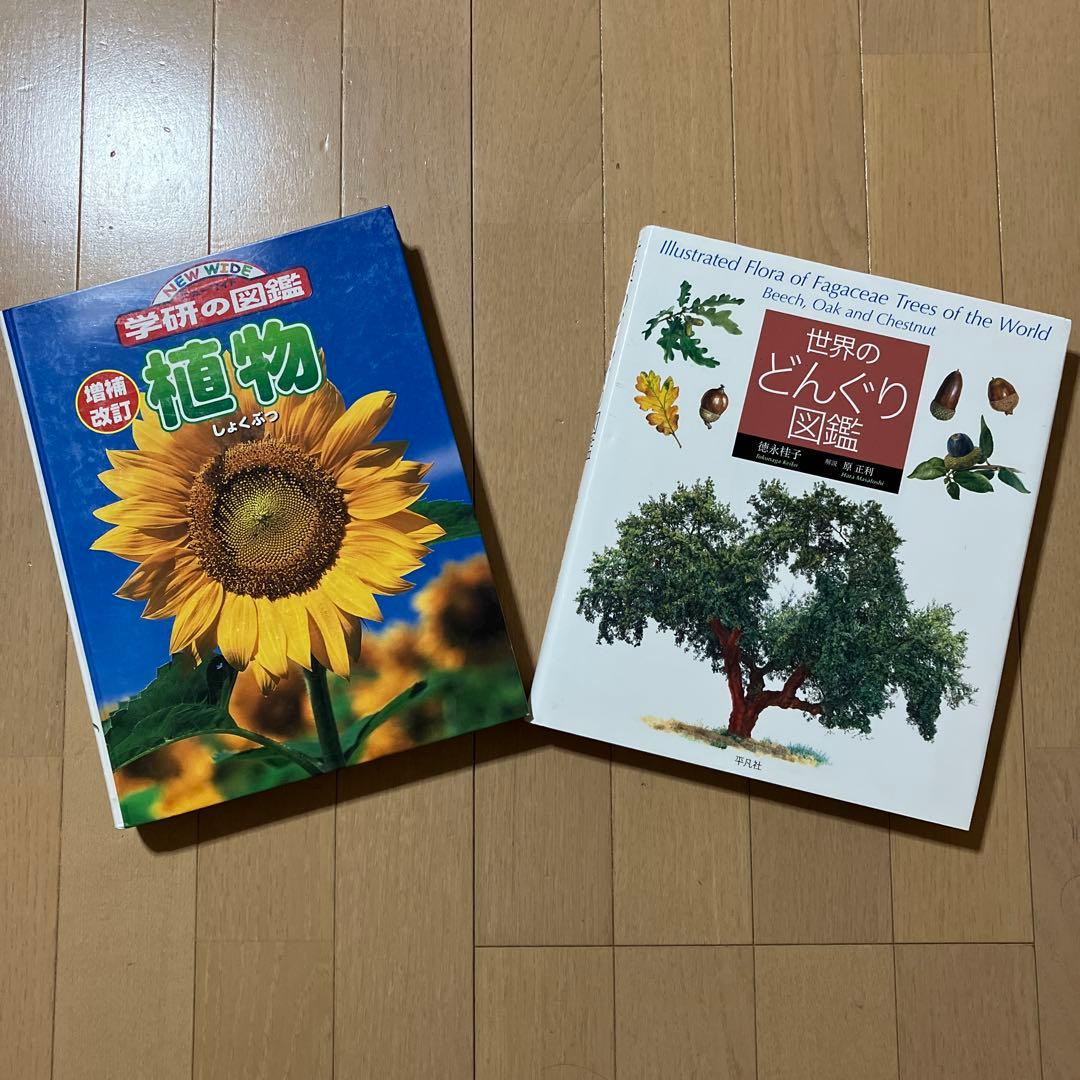 世界のどんぐり図鑑/学研の図鑑(増補改訂) 植物　2冊セット