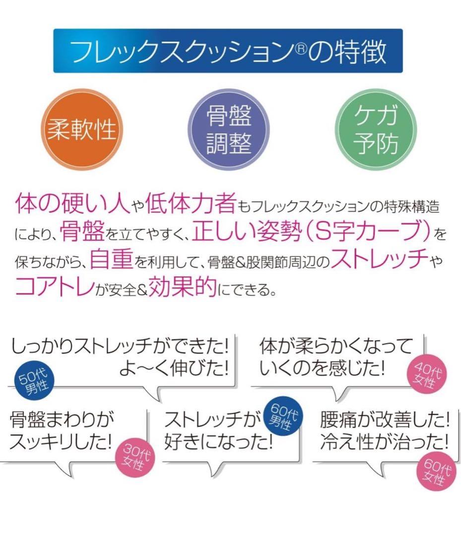 【3/18までの価格】フレックスクッション　サンテプラス　黒