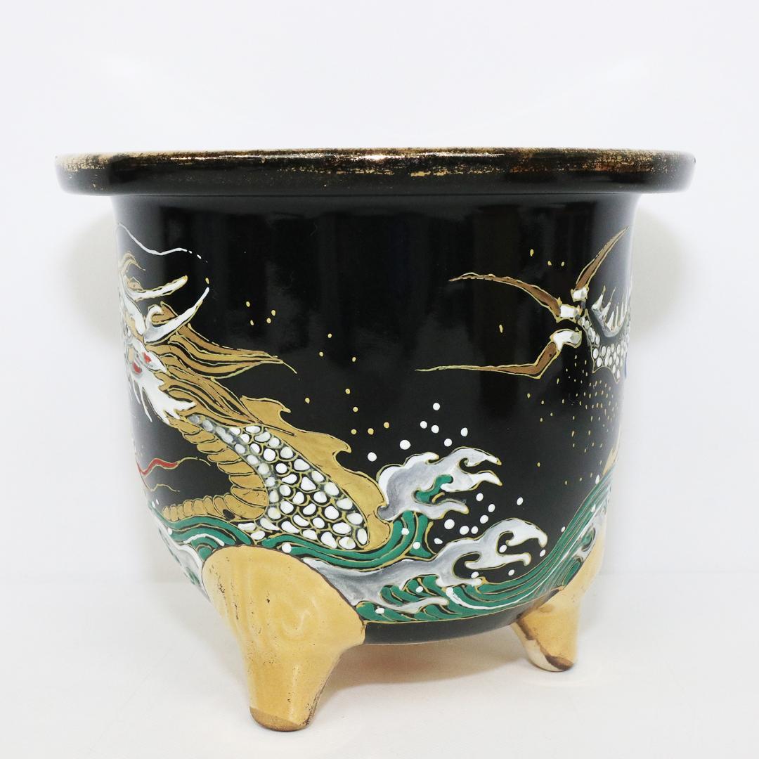 万年青鉢 錦鉢 龍 盆栽