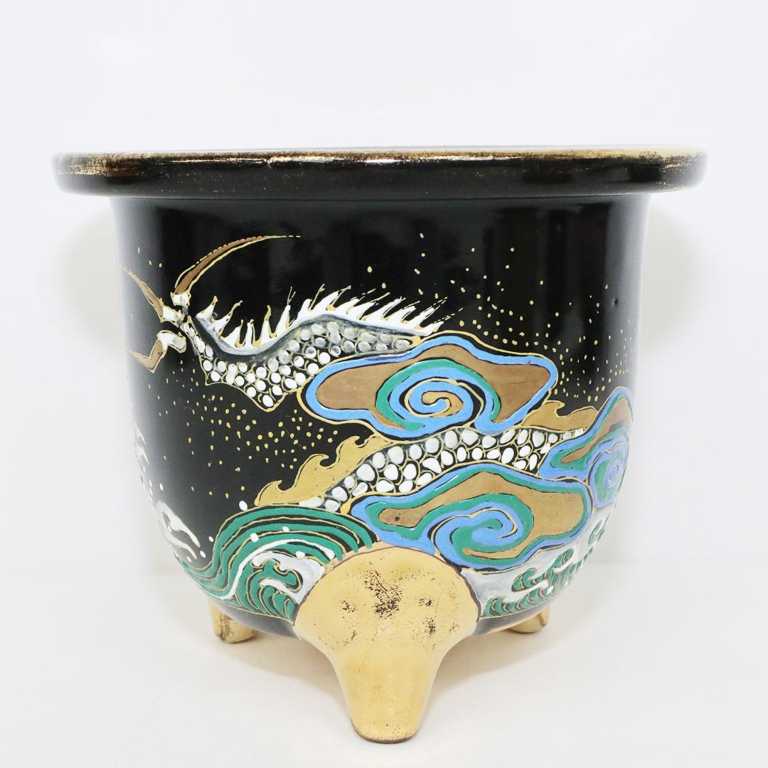 万年青鉢 錦鉢 龍 盆栽