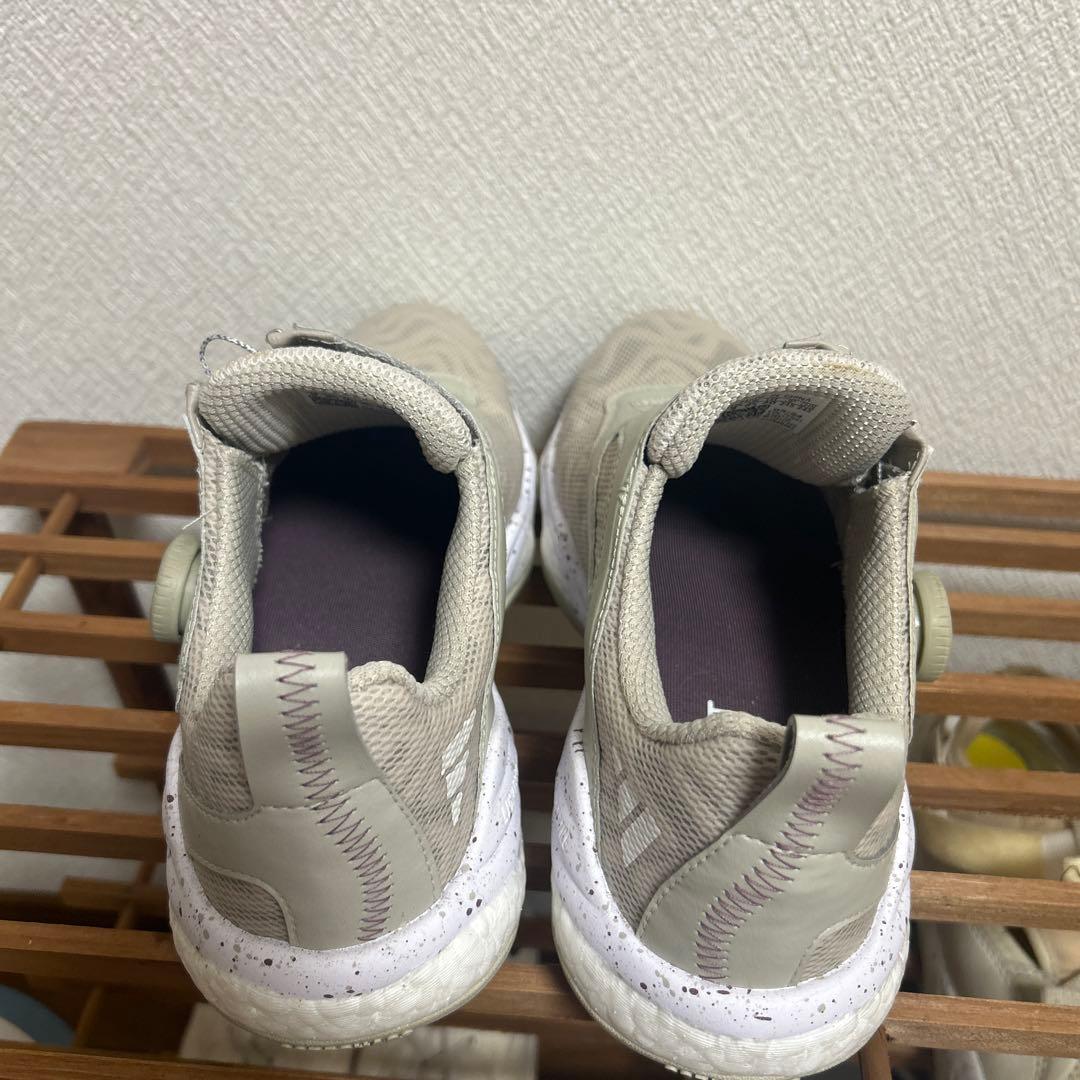 【ぐんじ】adidas ゴルフシューズ　レディース　24.5cm