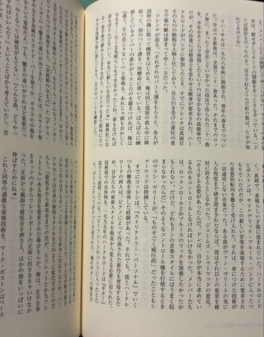 キャプテン・ビーフハート　マイク・バーンズ著　茂木健訳