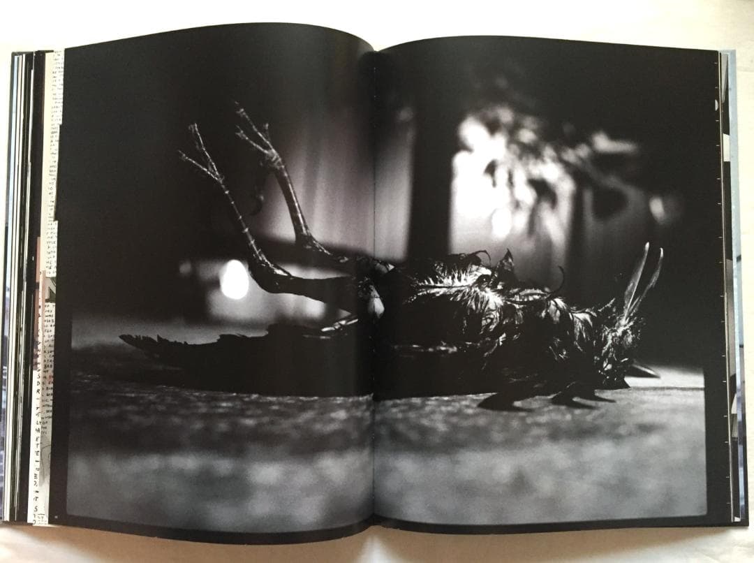 Ed Templeton Deformer 写真集 エドテンプルトン