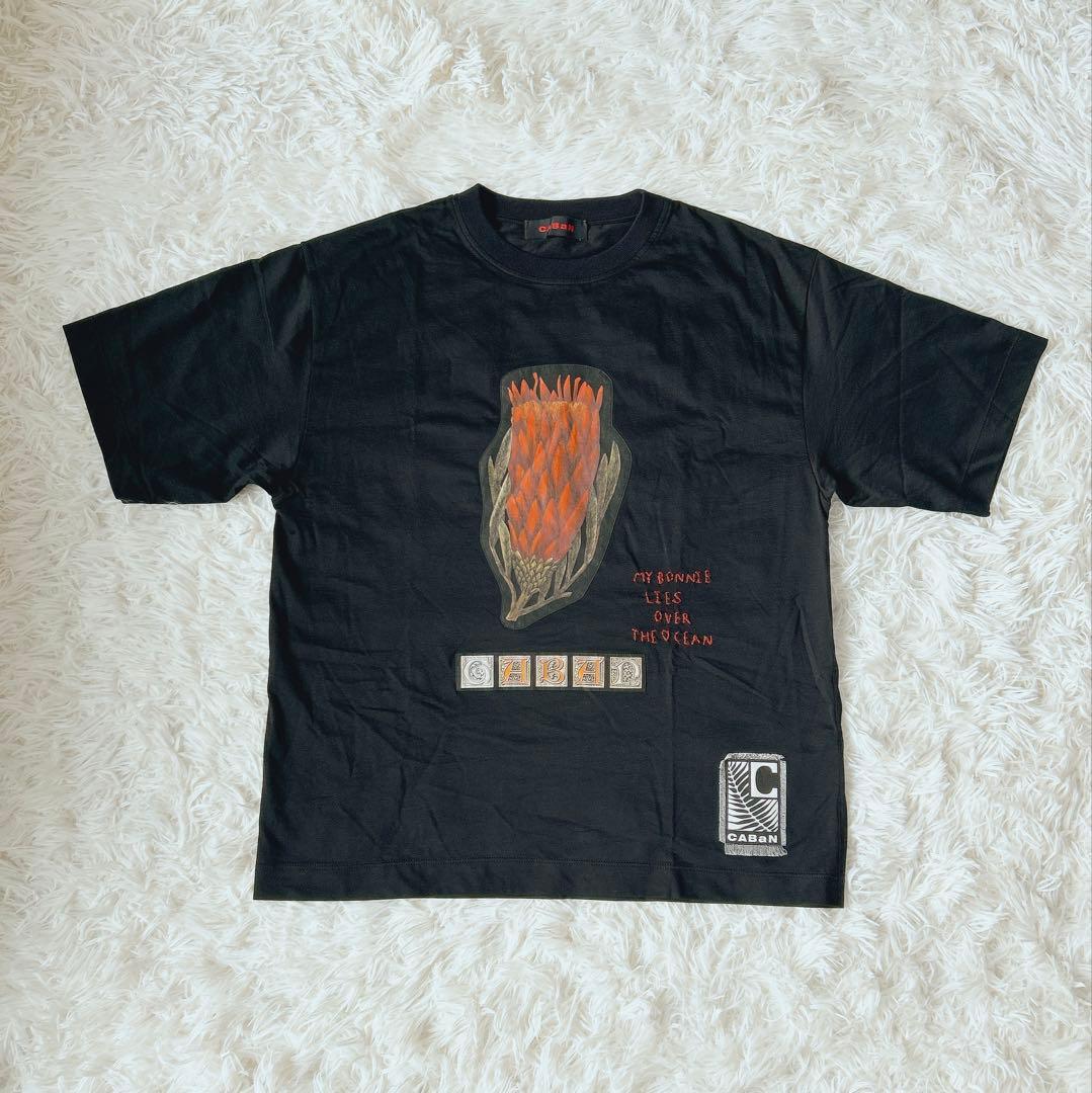 美品　キャバン　スビンコットンパレルモプリントTシャツ