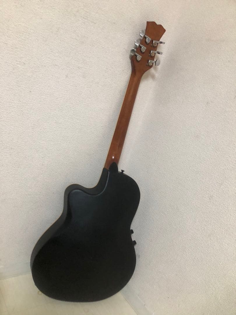 ReedMan RM-401 エレアコ　リードマン