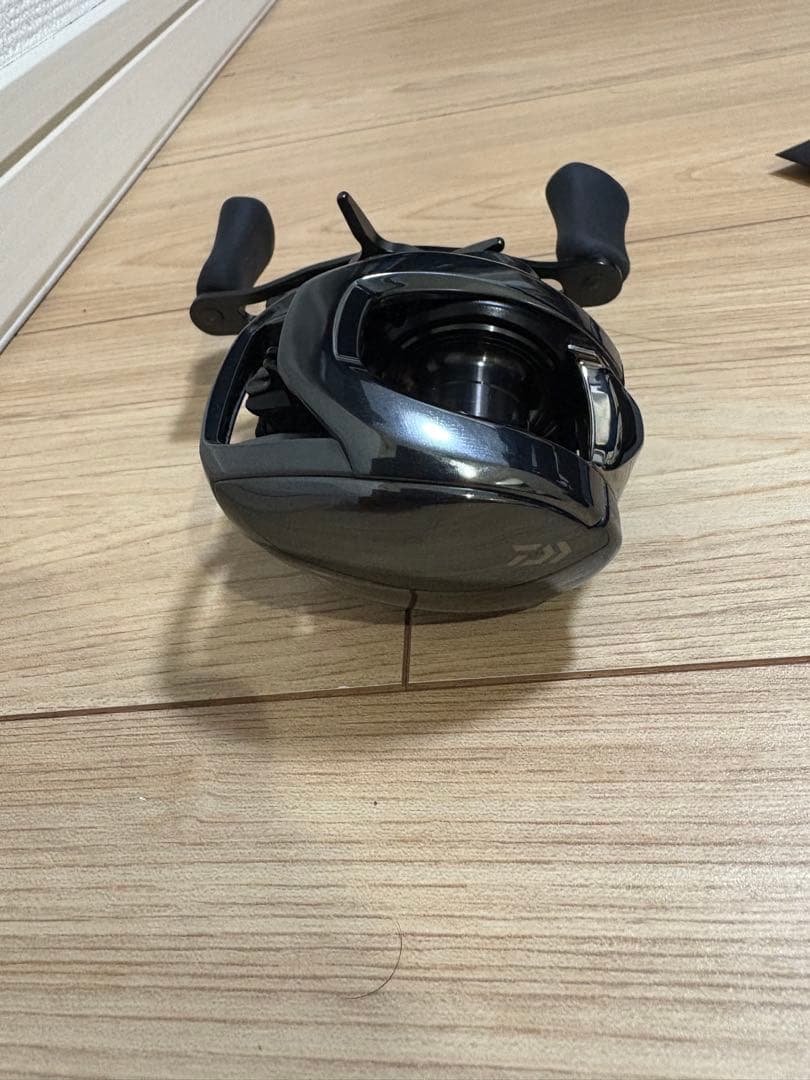 DAIWA 24スティーズ SV TW 100XH