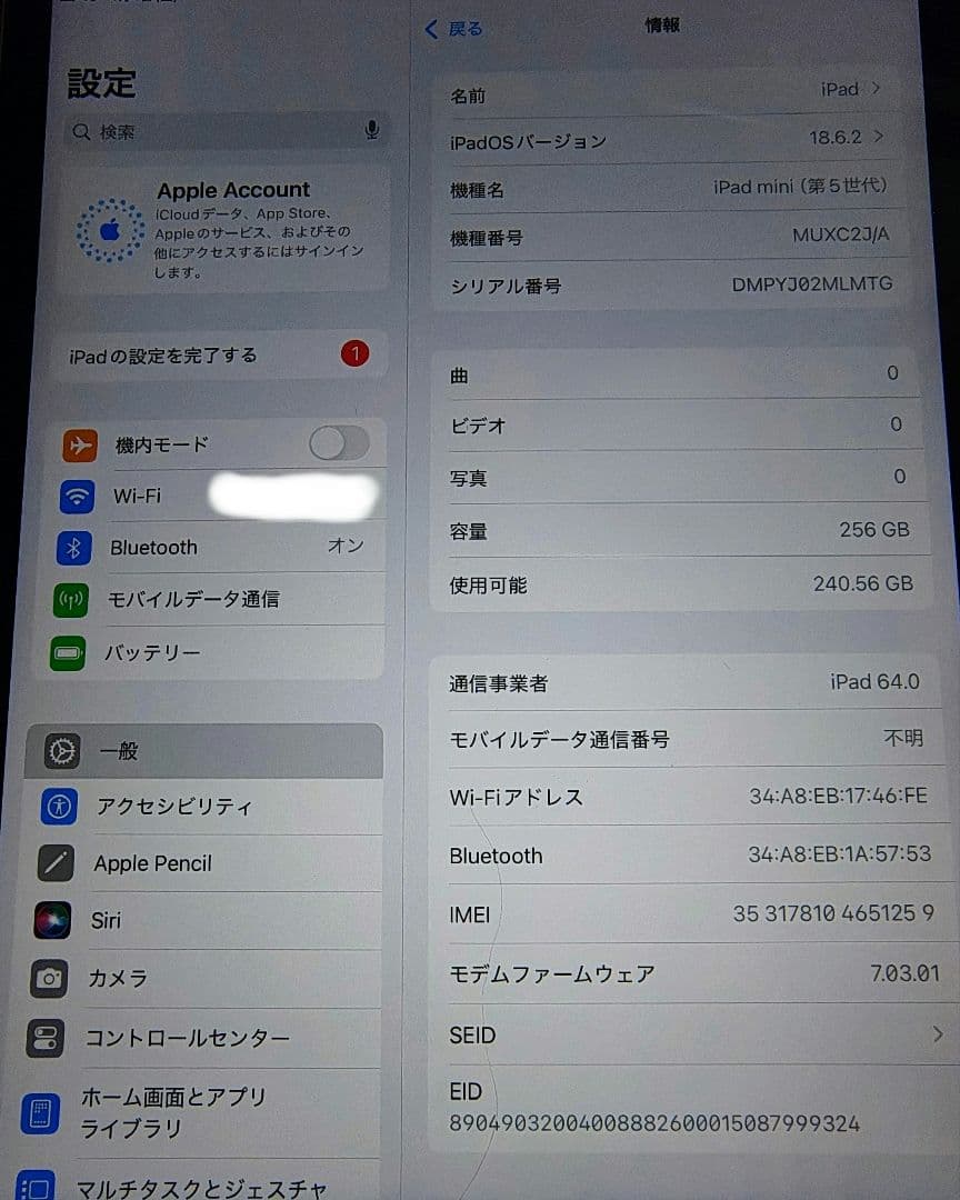 Apple iPad mini 5 スペースグレー セルラー256GBおまけ付き