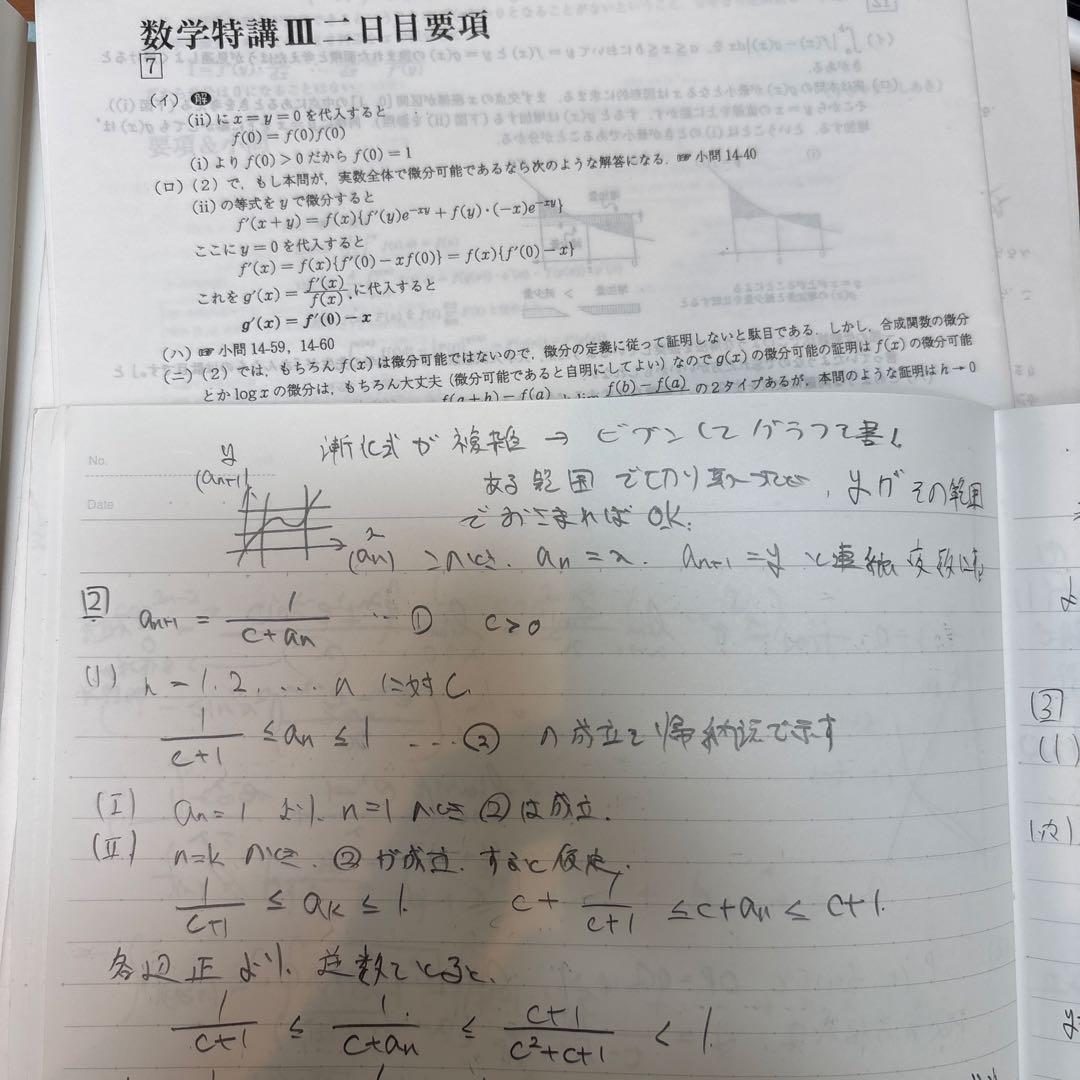 数学特講 (IA・IB・III) 2023 夏期 杉山義明 プリントノート付き
