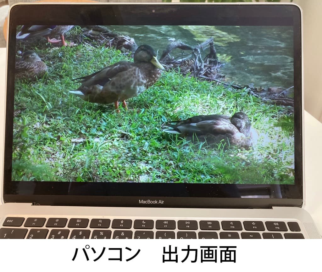 CANON IVIS HF100 ビデオカメラ 2008年製