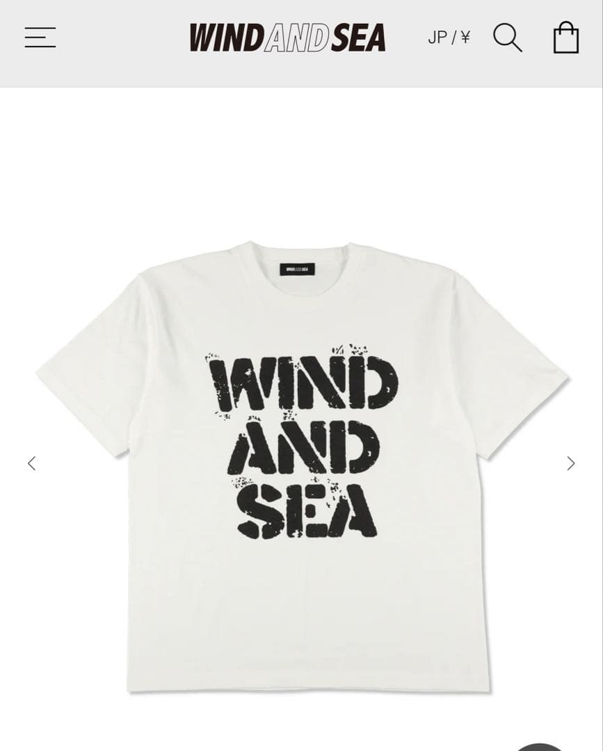 WIND AND SEA ウィンダンシー スプレーロゴ Tシャツ L
