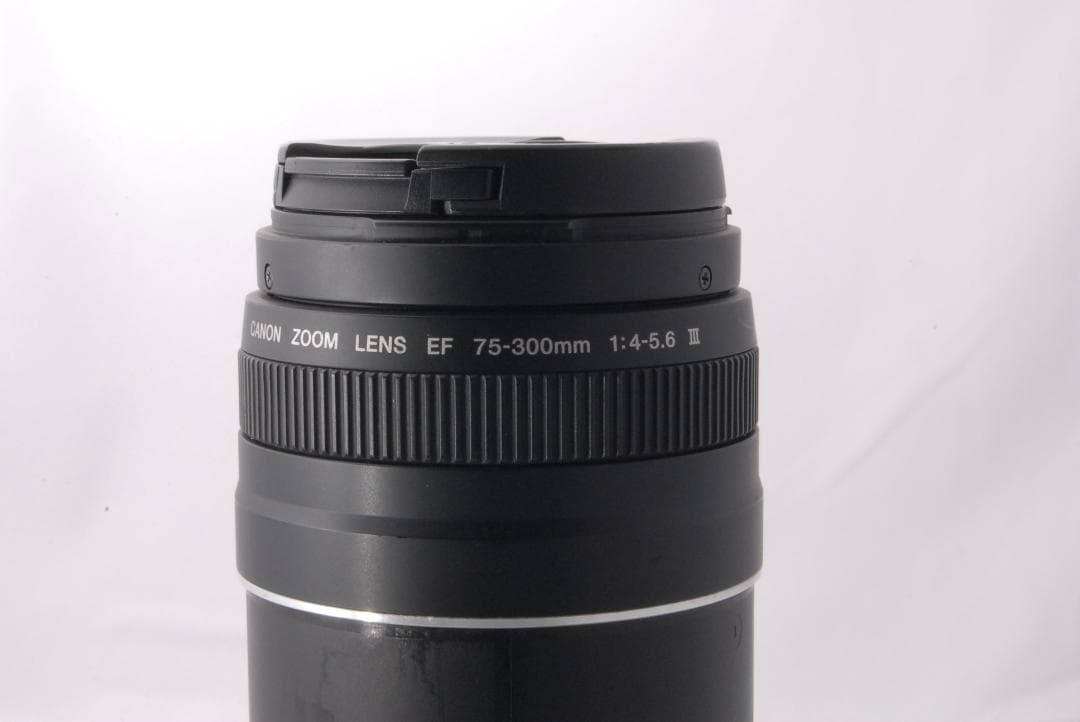 【完動品】Canon EF 75-300mm F4-5.6 III 望遠レンズ