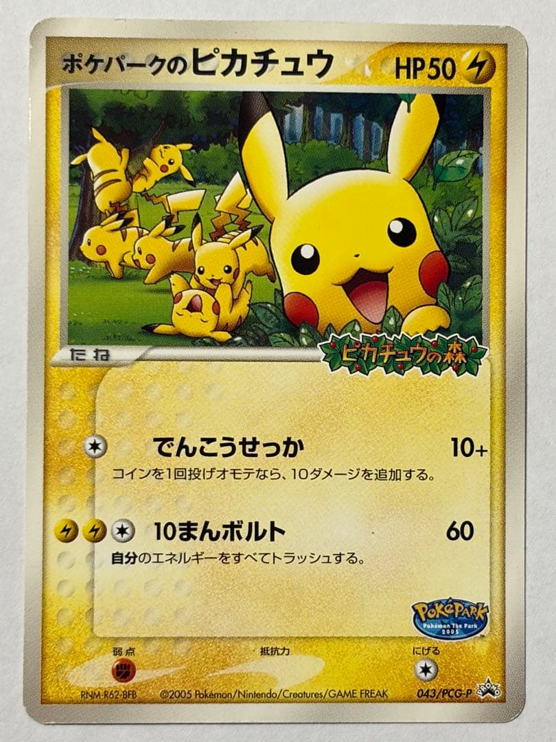 ポケパークのピカチュウ アチャモ ミズゴロウ など9枚セット ポケカ ファイル付