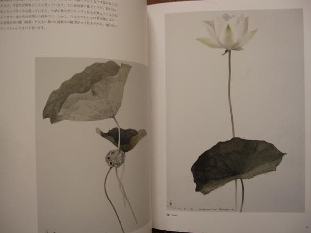 川端鉱一　スケッチ集 Watercolor Painting　直筆サイン入り