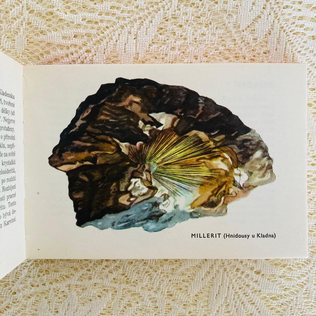 洋書　古書　チェコ語の鉱物図鑑　豊富なカラーイラスト♡　ヴィンテージ