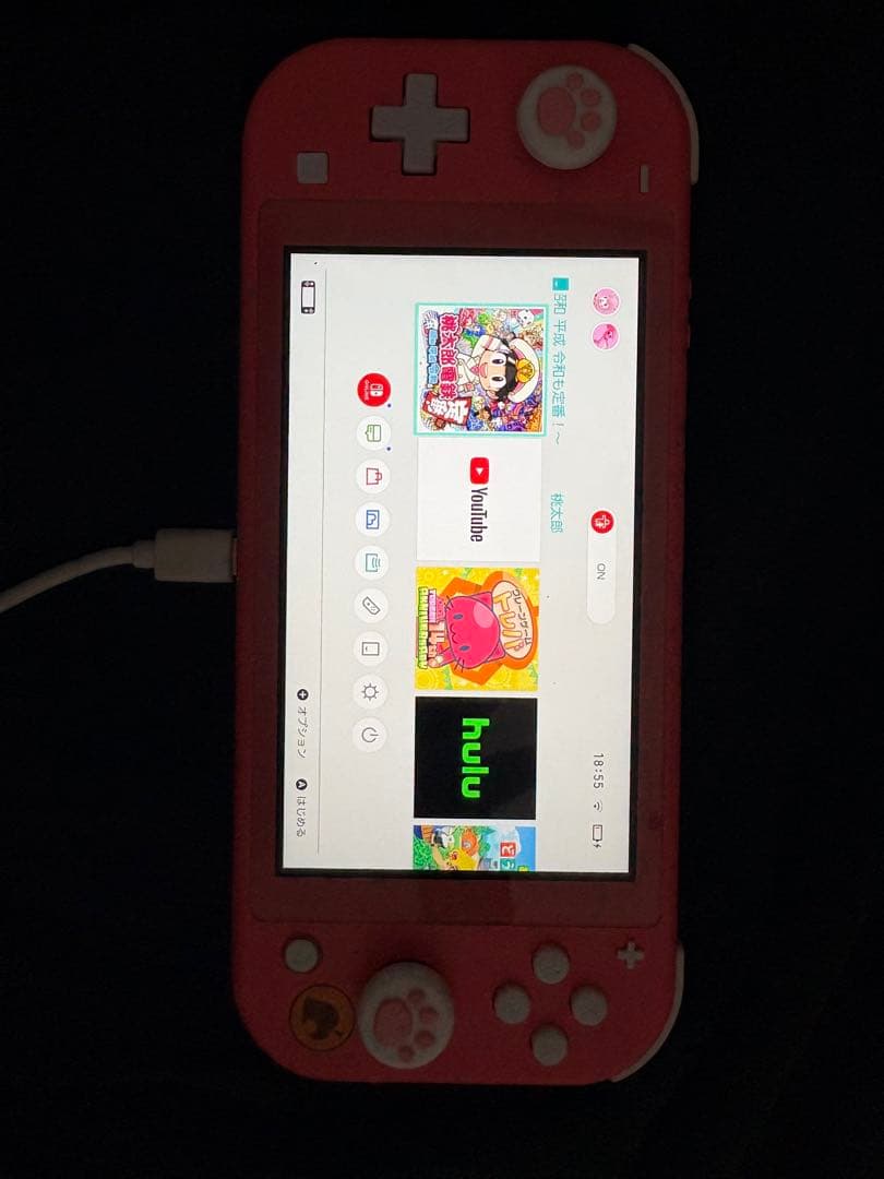 Nintendo Switch lite 本体どうぶつの森 桃鉄 ケースシナモン