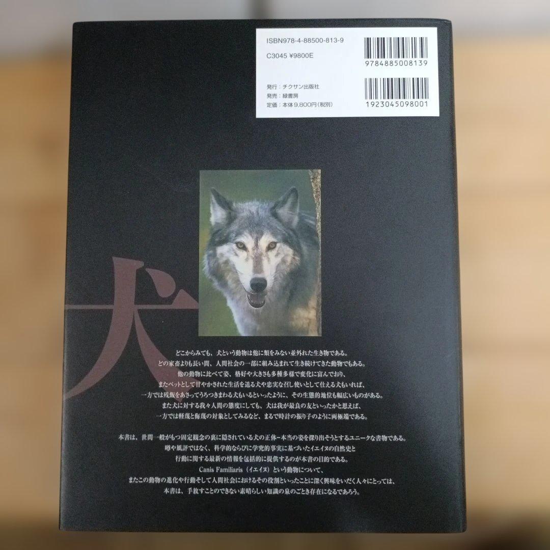 【中古本】a-20 ドメスティック・ドッグ　その進化·行動·人との関係