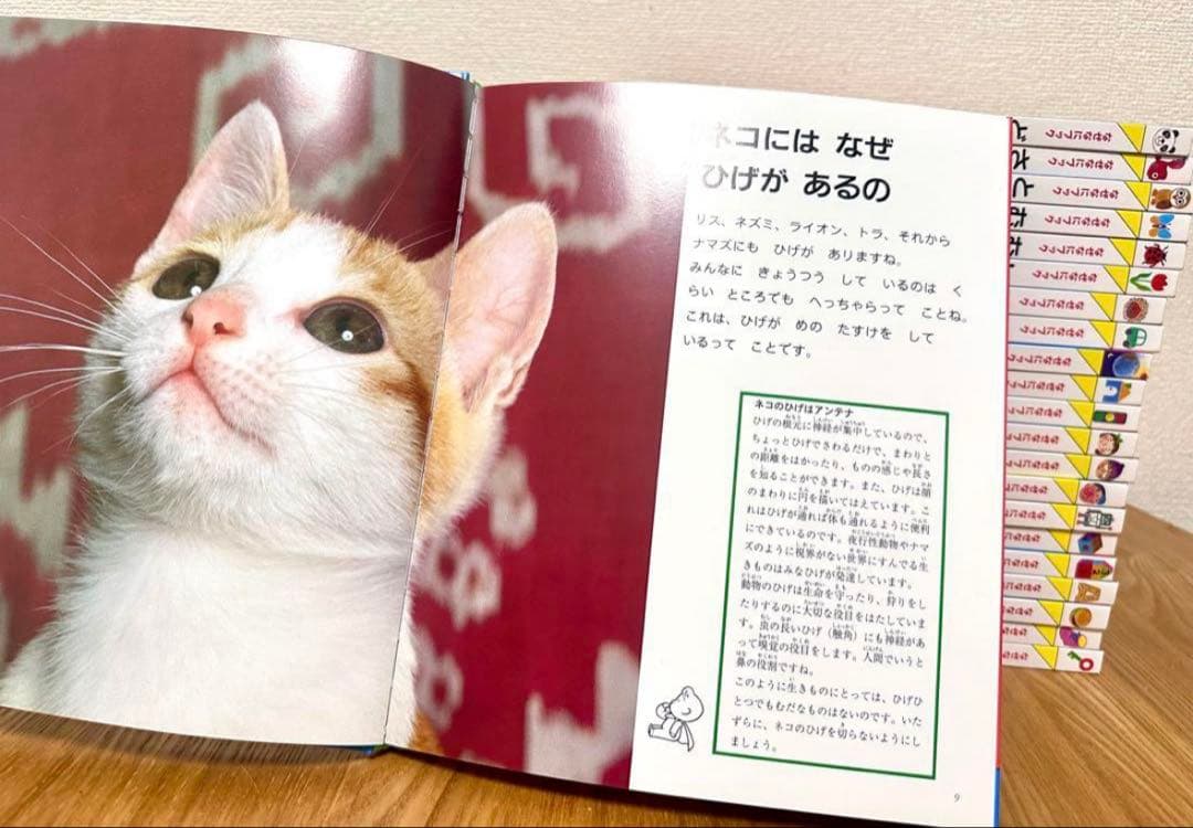 【新品未使用】全22冊セット なぜなにブック 幼児教育 知育絵本