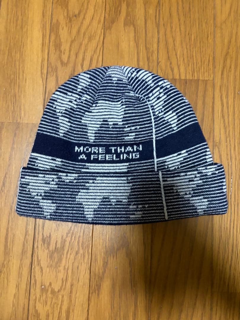 PALACE ニット帽 ストライプ 地球模様