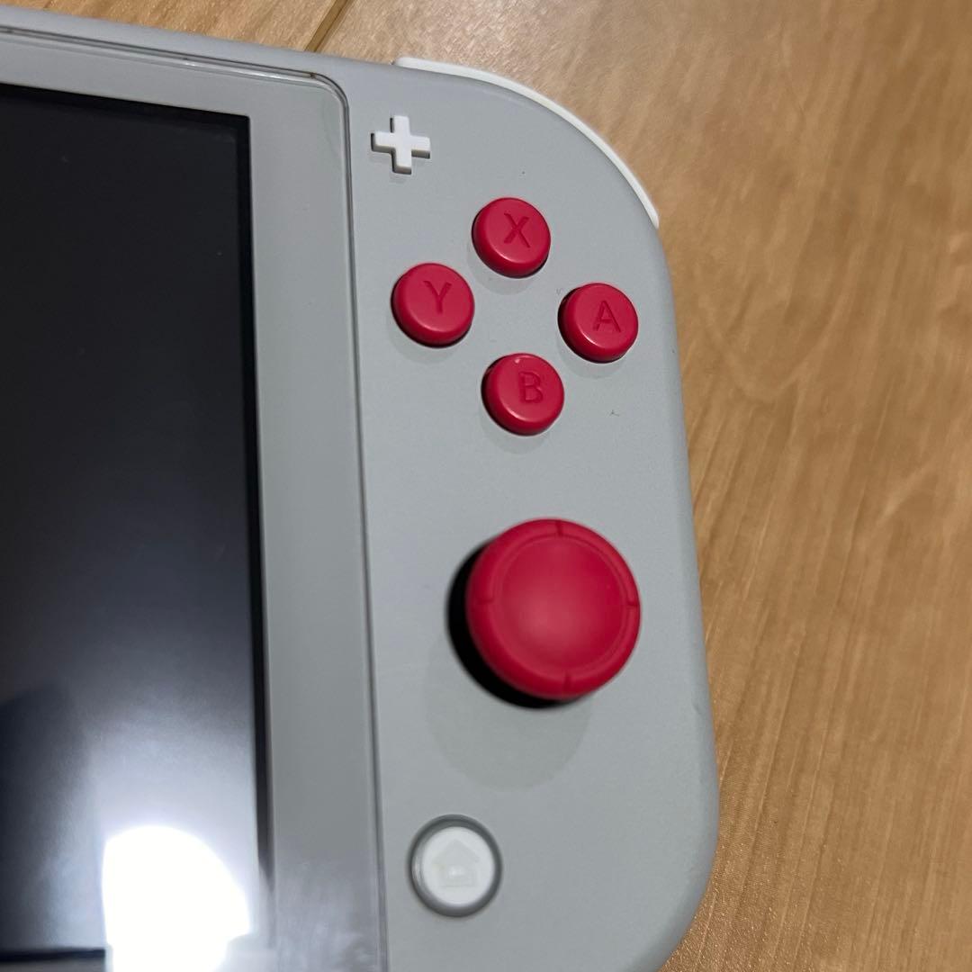 Nintendo Switch light ザシアン・ザマゼンタ　本体　充電器